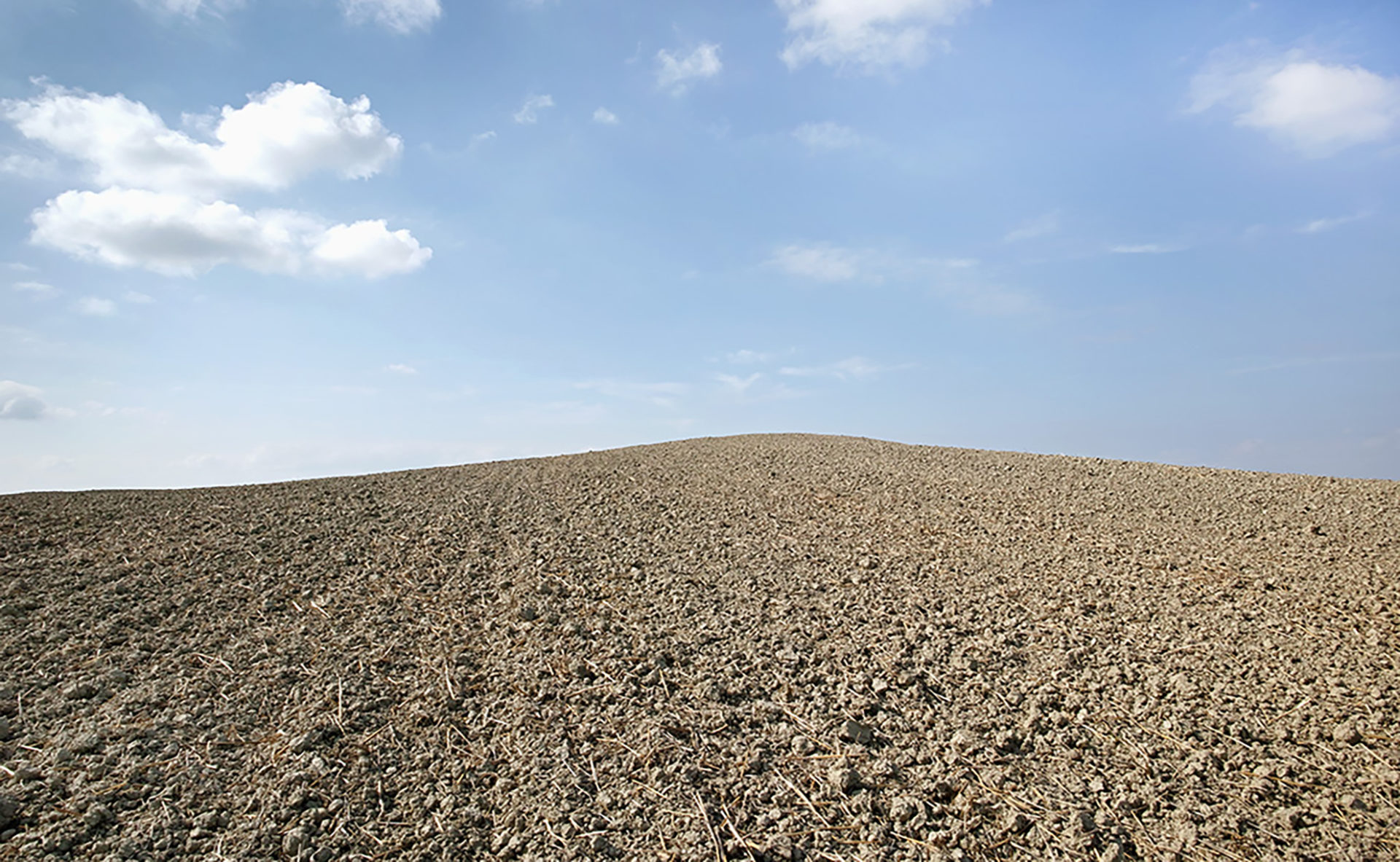 Presentazione del libro fotografico Forma/ae <br> a cura di Stefano Vigni