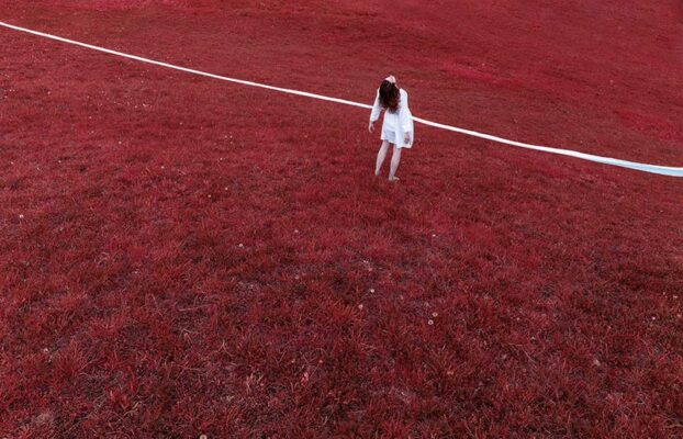 Silvia Montevecchi vince il 13° Premio Arte Laguna