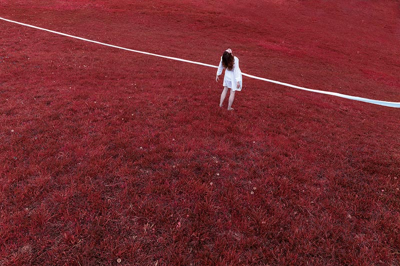 Silvia Montevecchi vince il 13° Premio Arte Laguna